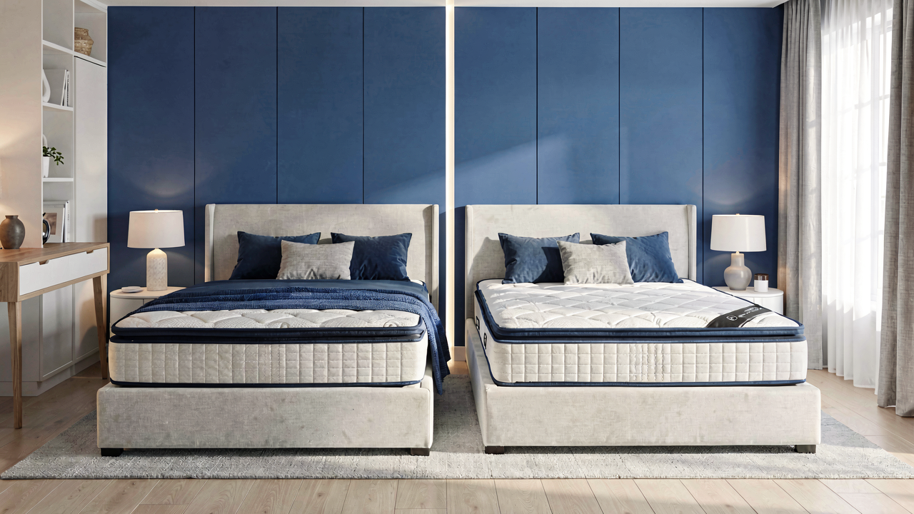 تشک دکتر بیست